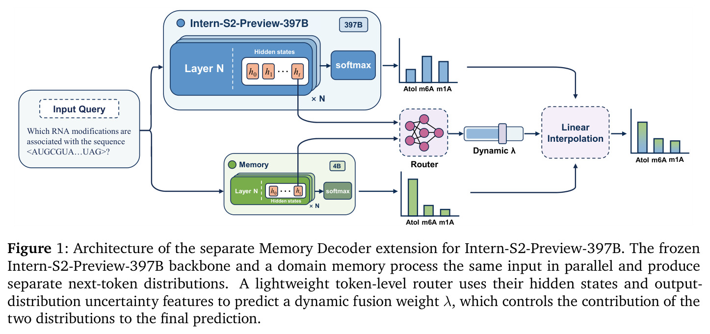 Architecture of the separate Memory Decoder extension for Intern-S2-Preview-397B.