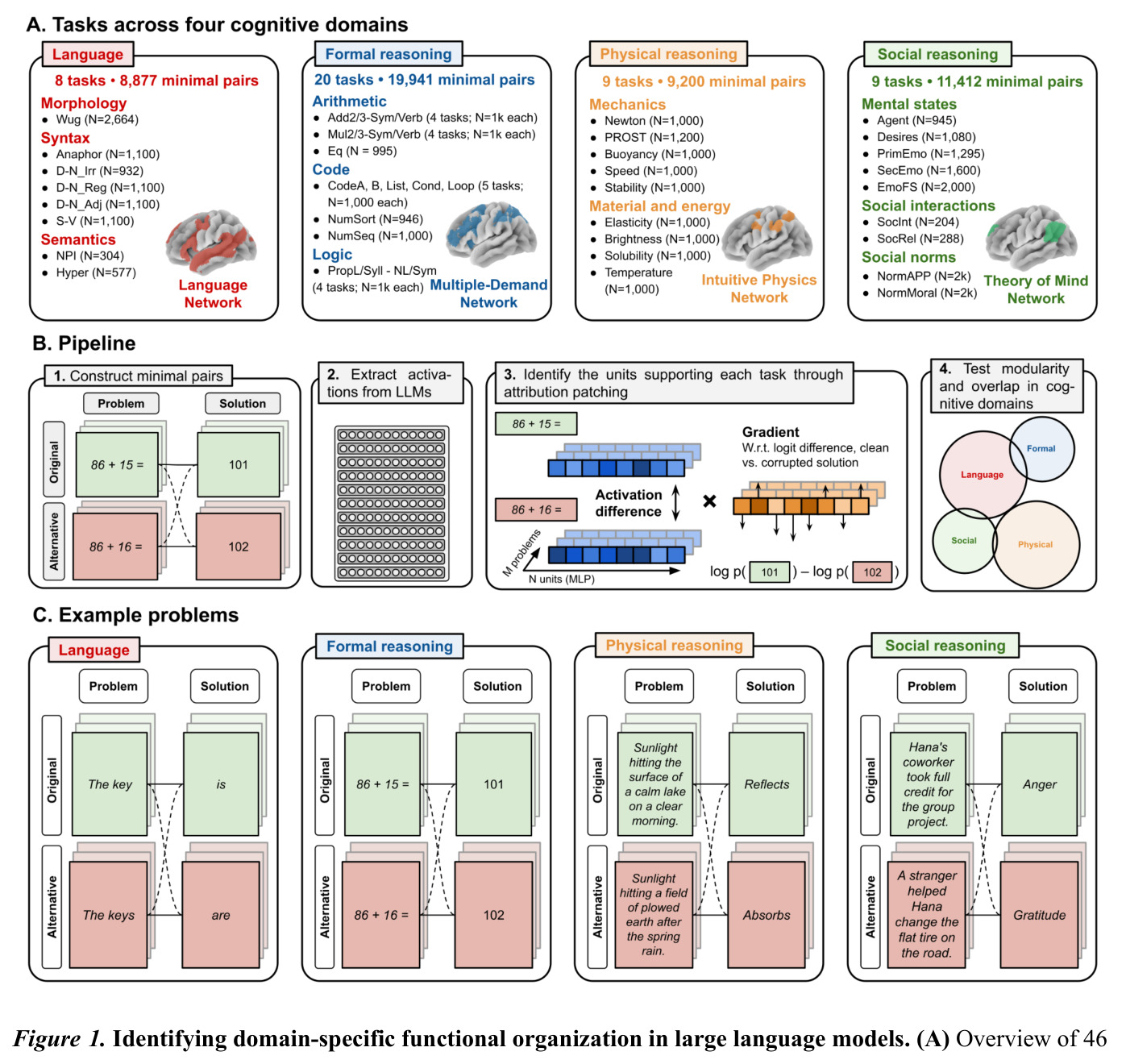 Identifying domain-specific functional organization in large language models
