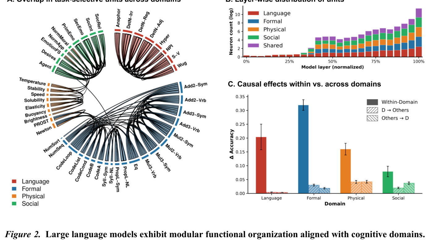Large language models exhibit modular functional organization aligned with cognitive domains