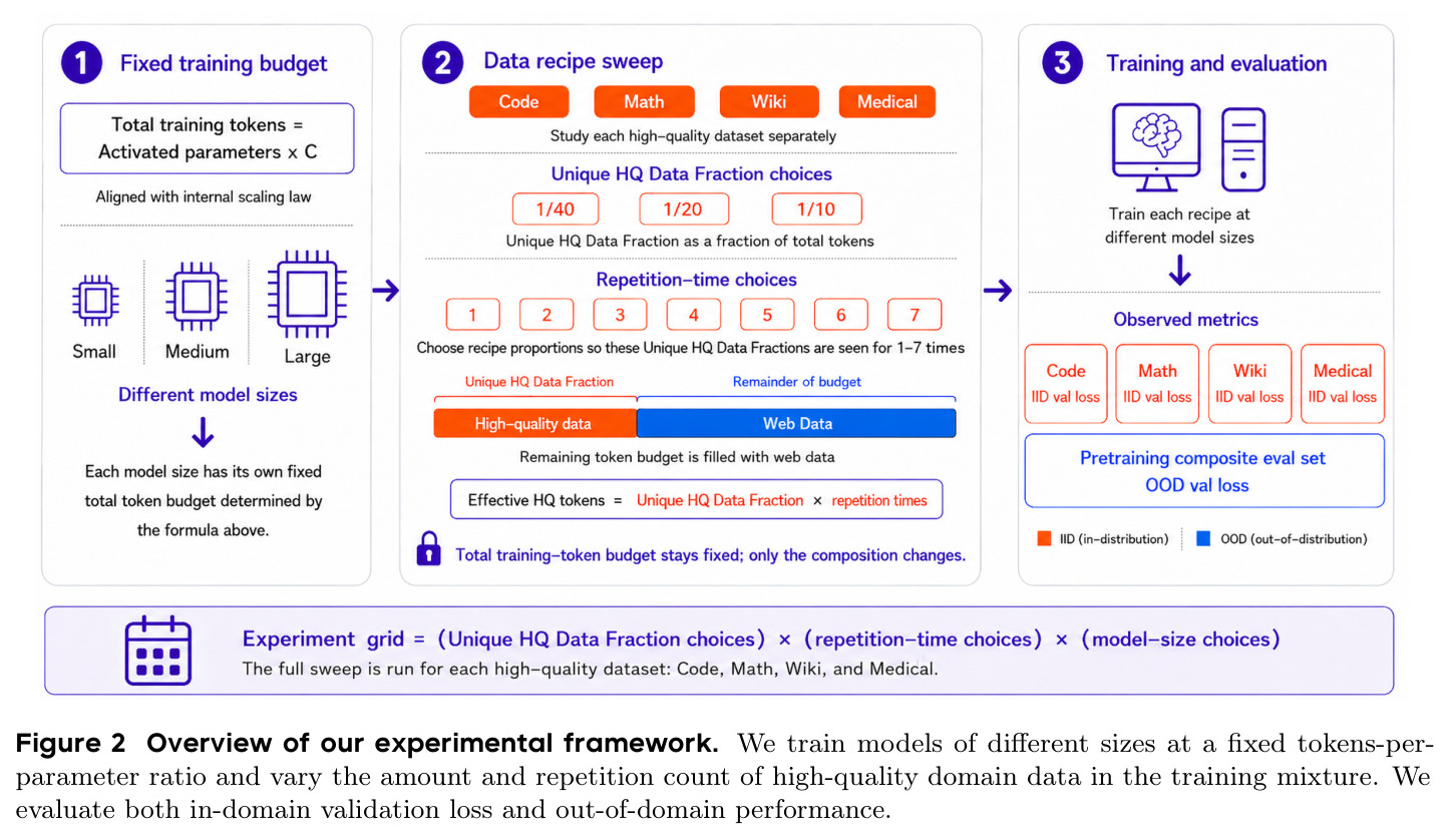 Overview of our experimental framework