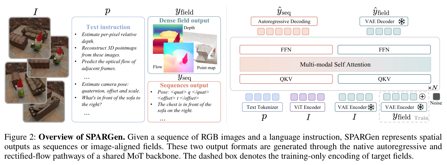 Overview of SPARGen. Given a sequence of RGB images and a language instruction, SPARGen represents spatial outputs as sequences or image-aligned fields. These two output formats are generated through the native autoregressive and rectified-flow pathways of a shared MoT backbone. The dashed box denotes the training-only encoding of target fields.