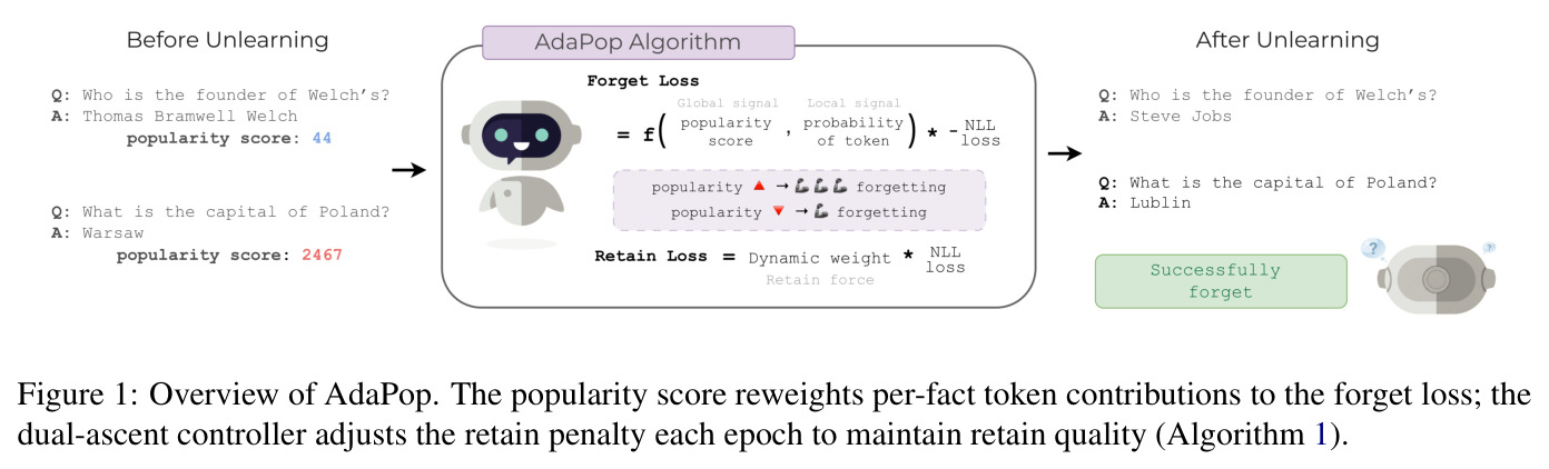 Overview of AdaPop. The popularity score reweights per-fact token contributions to the forget loss; the dual-ascent controller adjusts the retain penalty each epoch to maintain retain quality (Algorithm 1).