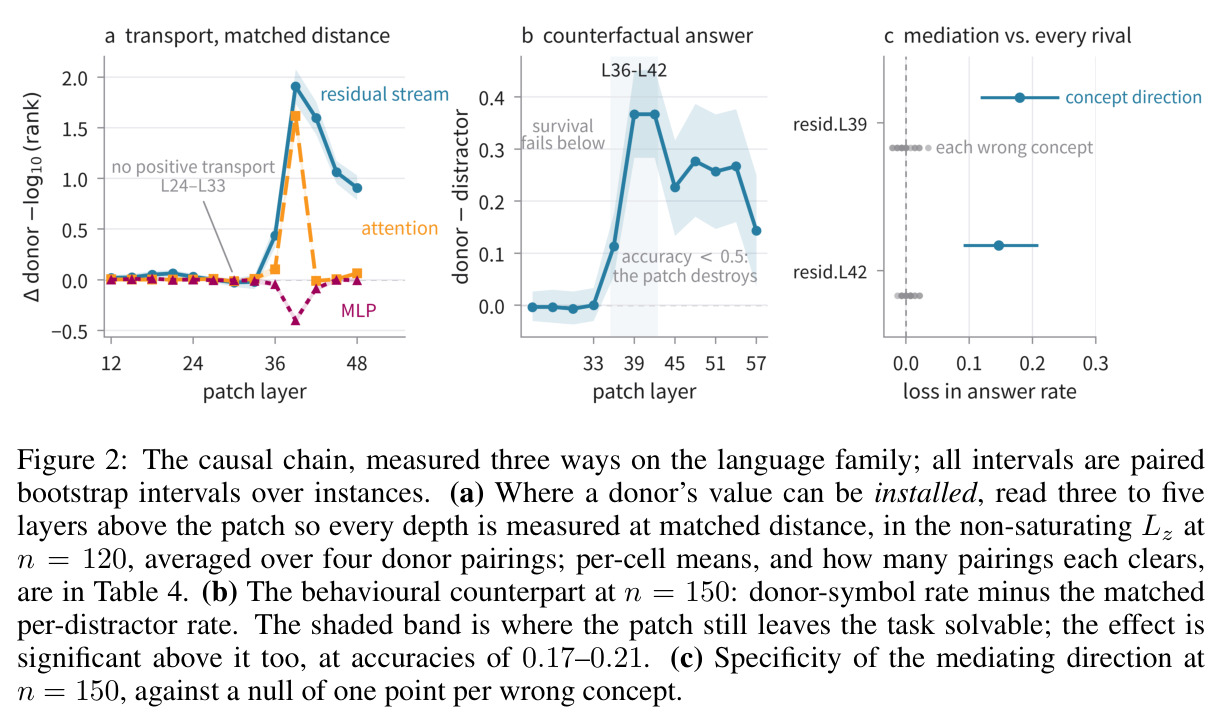 The causal chain, measured three ways on the language family; all intervals are paired bootstrap intervals over instances.