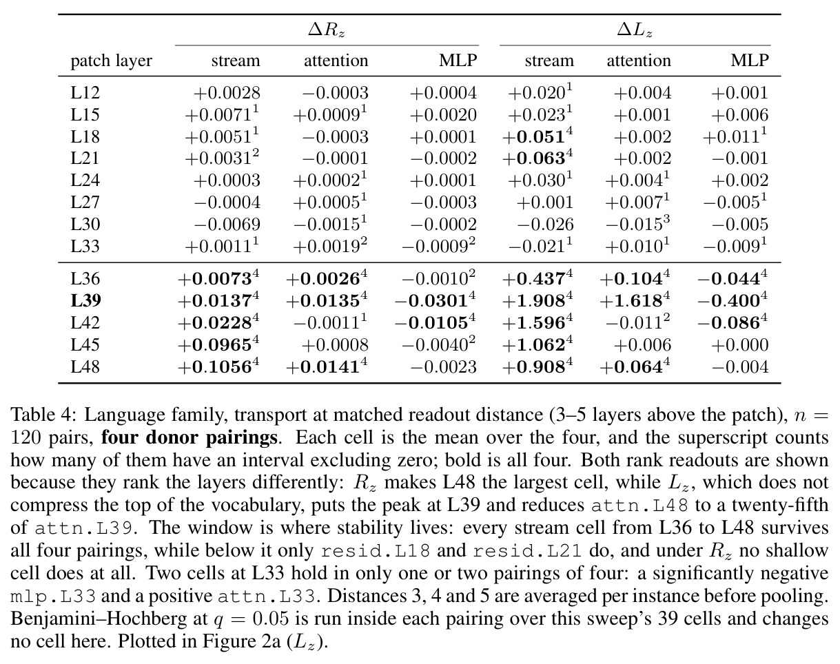 Language family, transport at matched readout distance (3–5 layers above the patch), n = 120 pairs, four donor pairings.