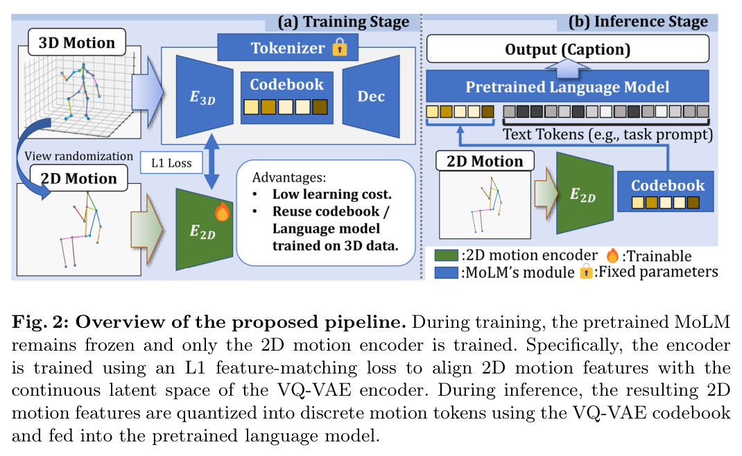 Overview of the proposed pipeline. During training, the pretrained MoLM remains frozen and only the 2D motion encoder is trained, using an L1 feature-matching loss to align 2D motion features with the continuous latent space of the VQ-VAE encoder. During inference, the resulting 2D motion features are quantized into discrete motion tokens using the VQ-VAE codebook and fed into the pretrained language model.