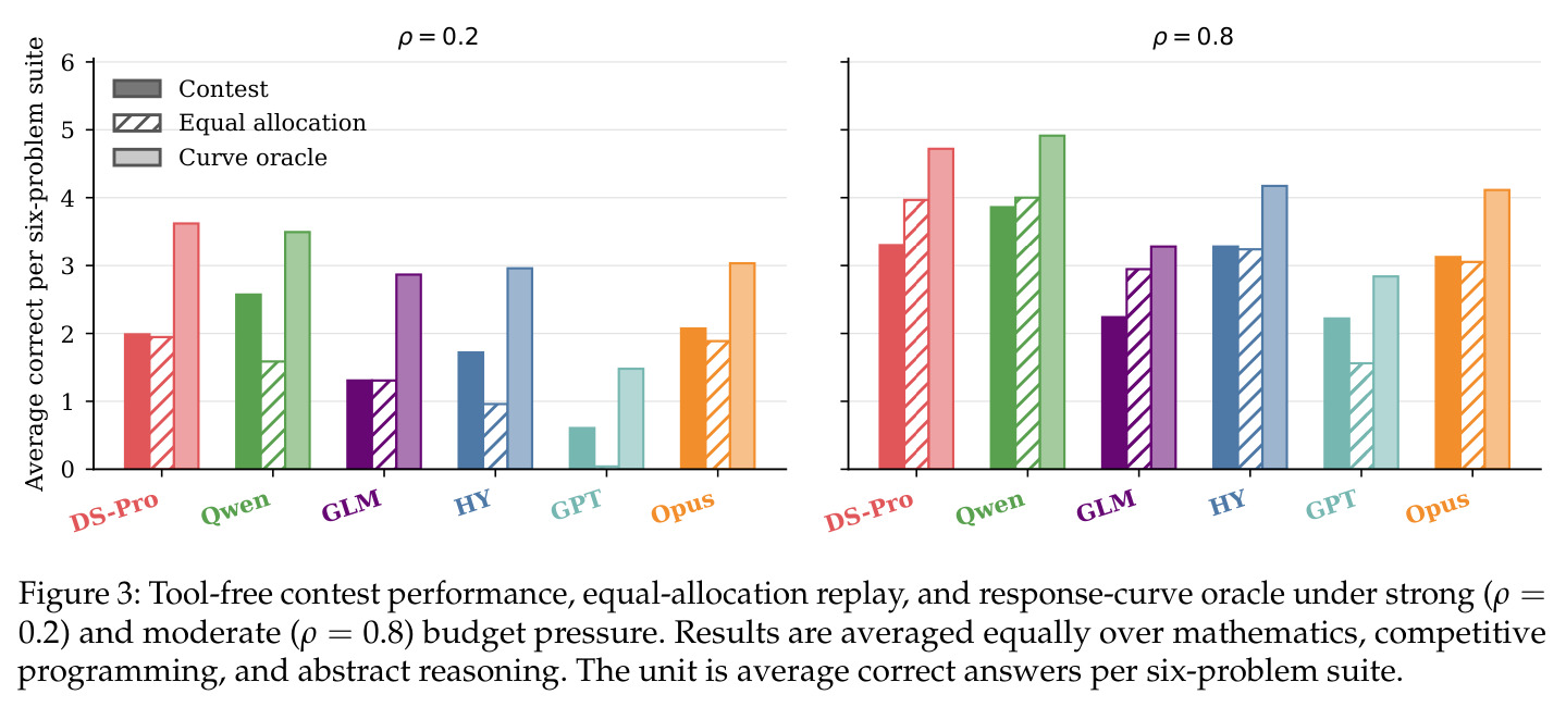 Tool-free contest performance, equal-allocation replay, and response-curve oracle under strong (ρ = 0.2) and moderate (ρ = 0.8) budget pressure.