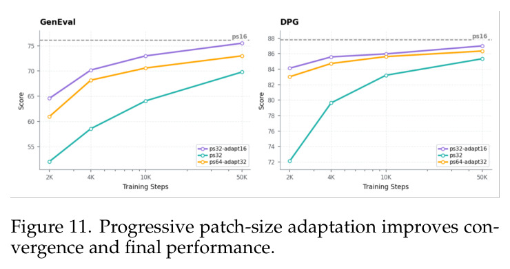 Progressive patch-size adaptation improves convergence and final performance.
