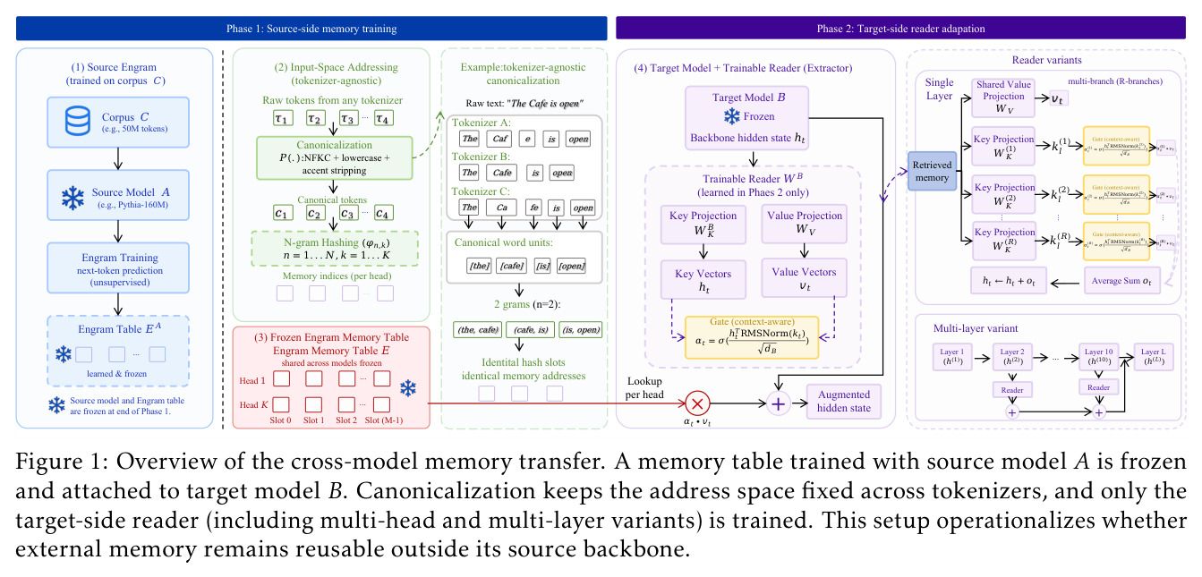 Overview of the cross-model memory transfer. A memory table trained with source model A is frozen and attached to target model B. Canonicalization keeps the address space fixed across tokenizers, and only the target-side reader (including multi-head and multi-layer variants) is trained.
