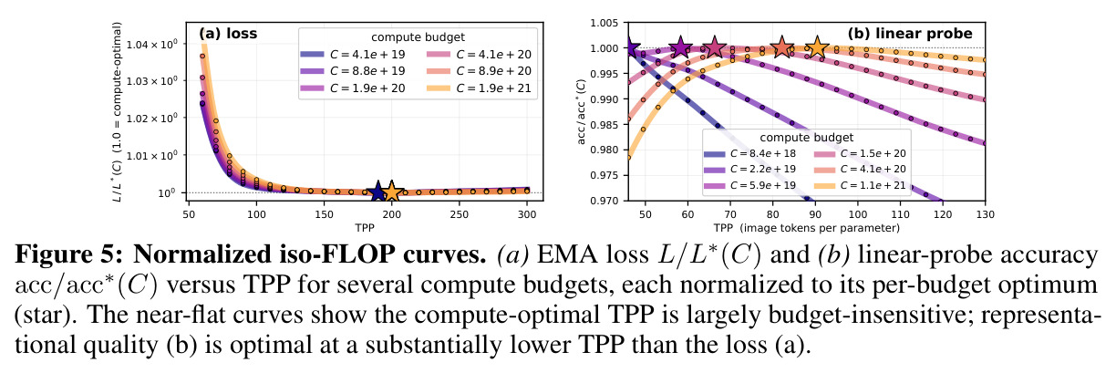Normalized iso-FLOP curves. (a) EMA loss and (b) linear-probe accuracy versus TPP, each normalized to its per-budget optimum.