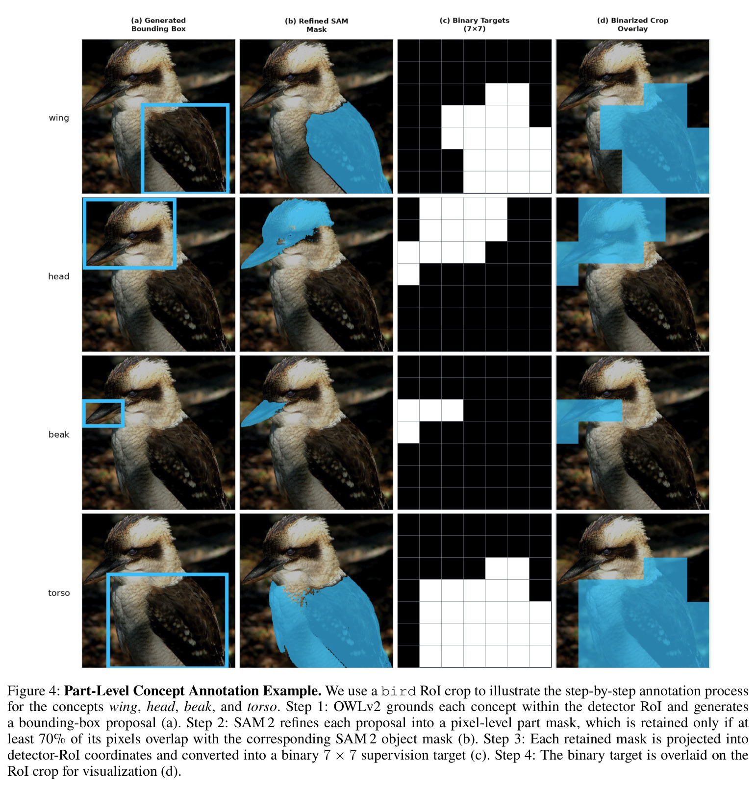 Part-Level Concept Annotation Example. We use a bird RoI crop to illustrate the step-by-step annotation process for the concepts wing, head, beak, and torso.