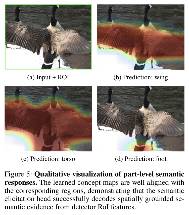 Qualitative visualization of part-level semantic responses. The learned concept maps are well aligned with the corresponding regions.