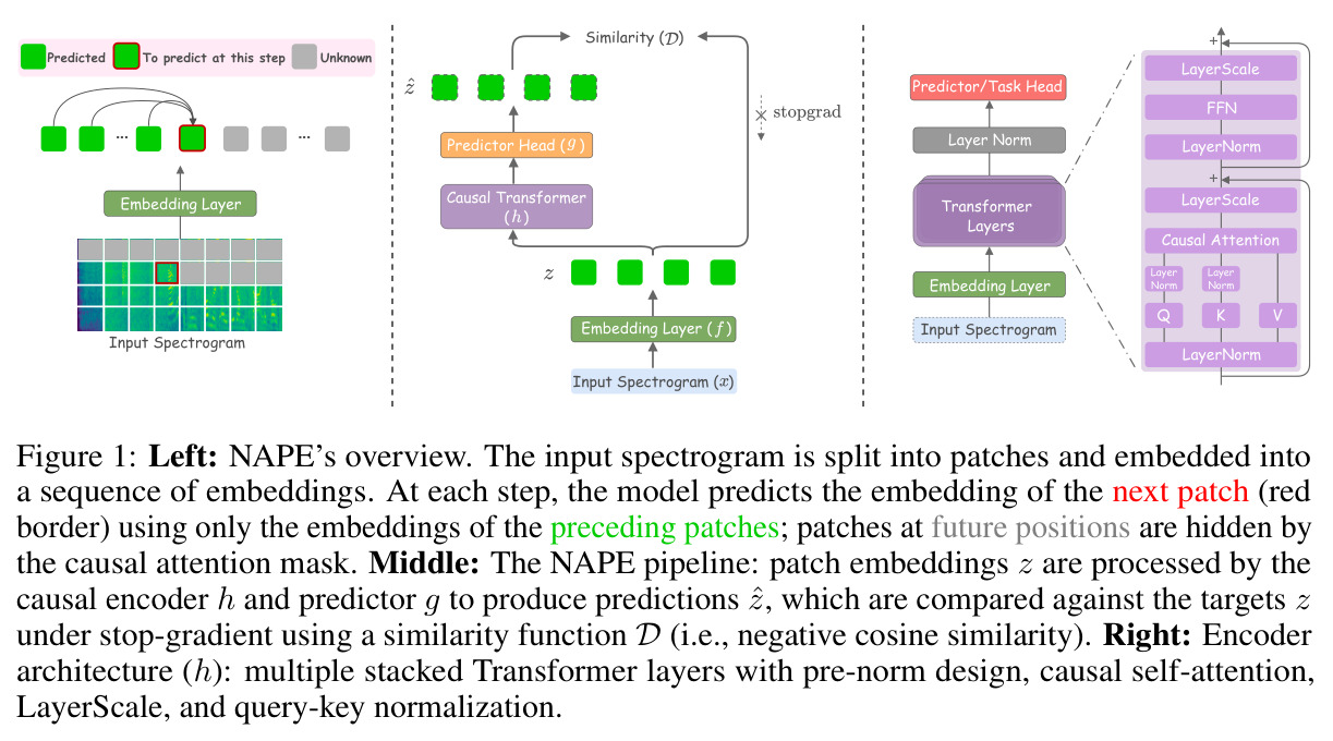 Left: NAPE's overview. Middle: The NAPE pipeline. Right: Encoder architecture (h).