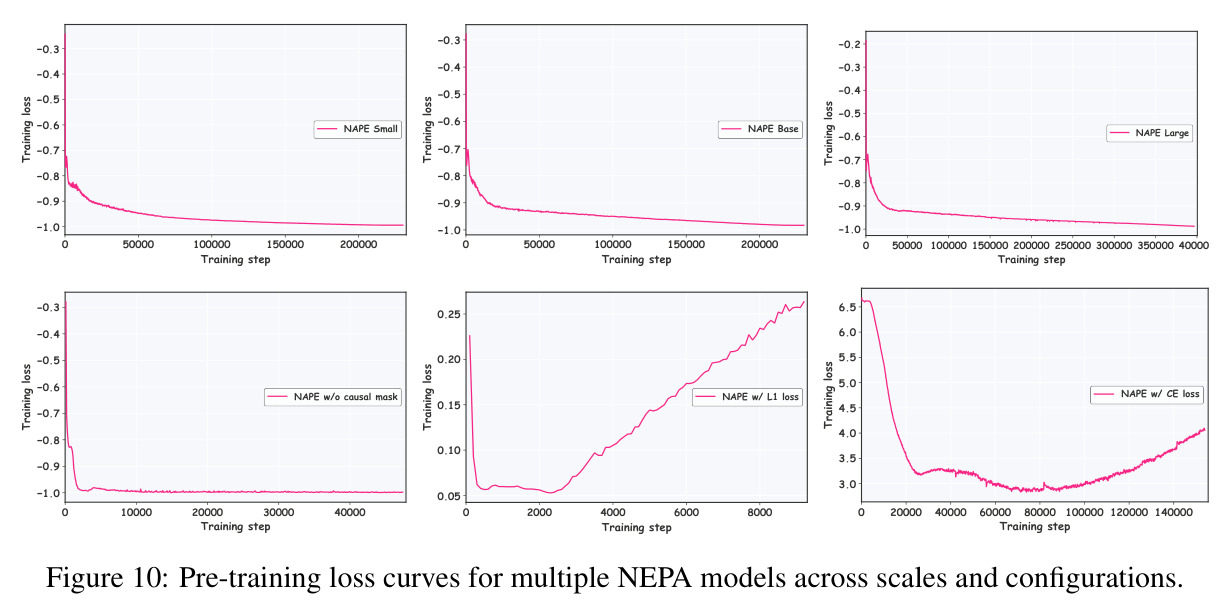 Pre-training loss curves for multiple NEPA models across scales and configurations.