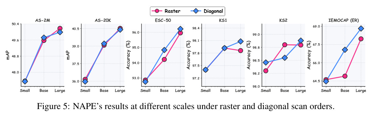 NAPE's results at different scales under raster and diagonal scan orders.