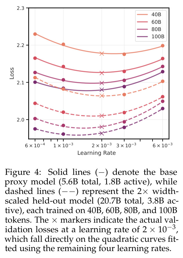 Solid lines denote the base proxy model (5.6B total, 1.8B active), dashed lines represent the 2× width-scaled held-out model (20.7B, 3.8B active)