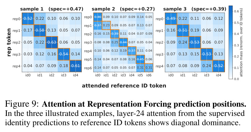 Attention at Representation Forcing prediction positions.
