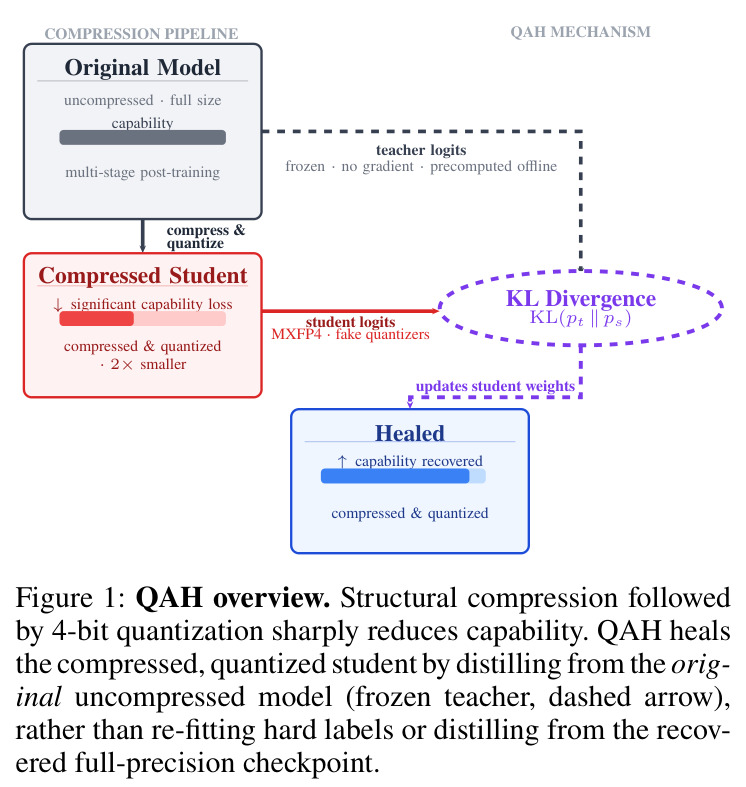 QAH overview. Structural compression followed by 4-bit quantization sharply reduces capability. QAH heals the compressed, quantized student by distilling from the original uncompressed model (frozen teacher, dashed arrow), rather than re-fitting hard labels or distilling from the recovered full-precision checkpoint.