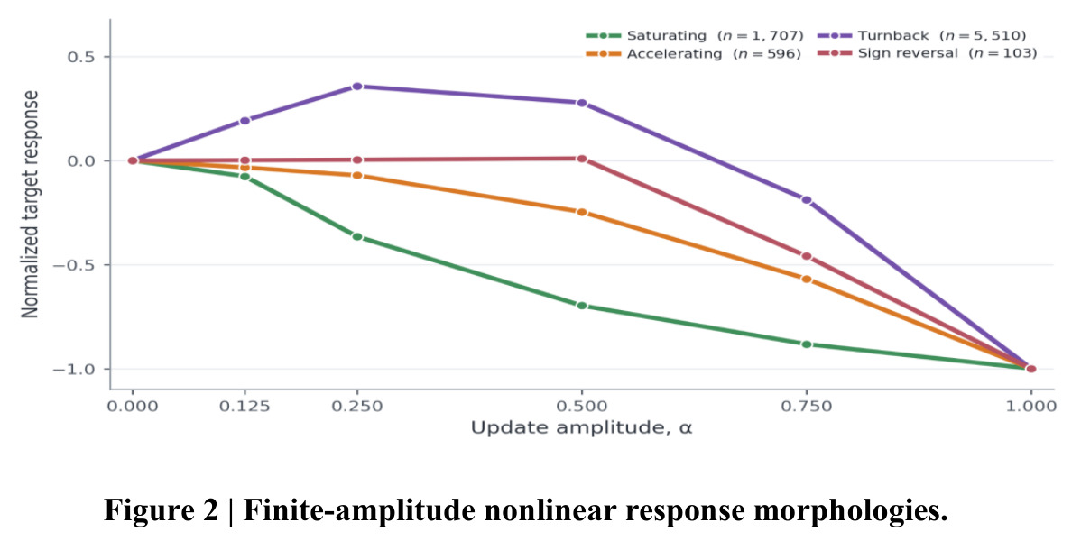 Finite-amplitude nonlinear response morphologies