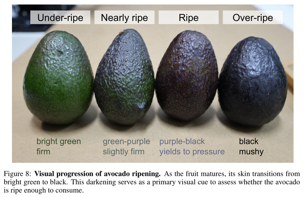 Visual progression of avocado ripening.