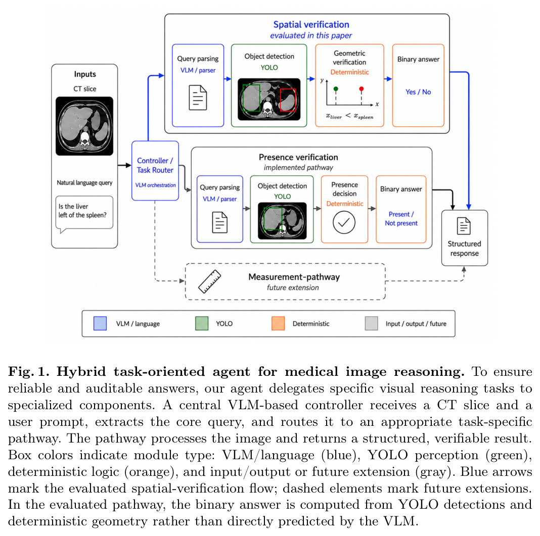 Hybrid task-oriented agent for medical image reasoning（面向医学影像推理的混合任务型智能体）