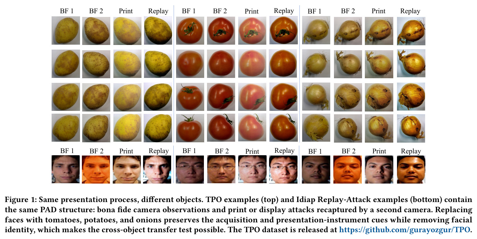 Same presentation process, different objects. TPO examples (top) and Idiap Replay-Attack examples (bottom) contain the same PAD structure: bona fide camera observations and print or display attacks recaptured by a second camera.