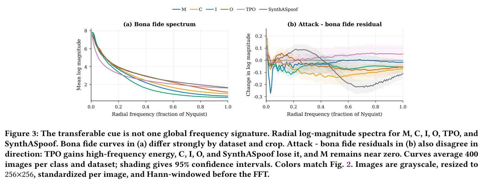 The transferable cue is not one global frequency signature. Radial log-magnitude spectra for M, C, I, O, TPO, and SynthASpoof.