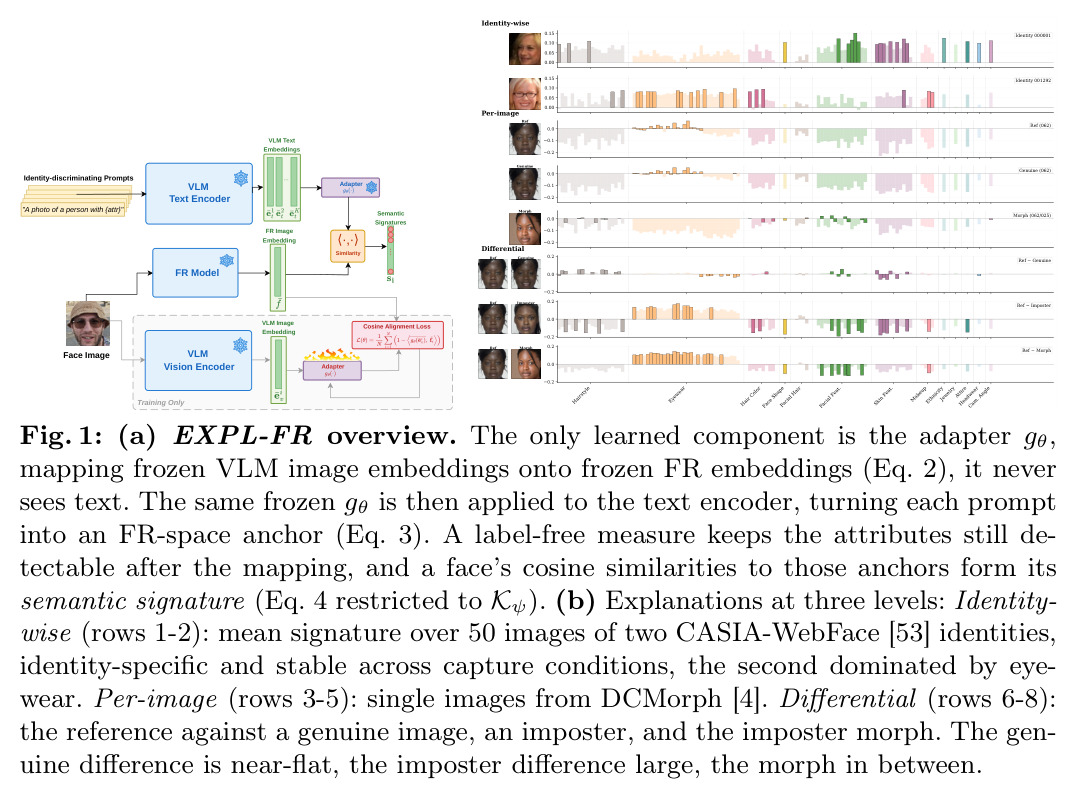 EXPL-FR overview. The only learned component is the adapter gθ, mapping frozen VLM image embeddings onto frozen FR embeddings (Eq. 2), it never sees text. The same frozen gθ is then applied to the text encoder, turning each prompt into an FR-space anchor (Eq. 3). (b) Explanations at three levels.