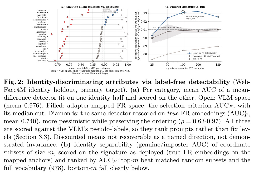 Identity-discriminating attributes via label-free detectability (WebFace4M identity holdout, primary target).