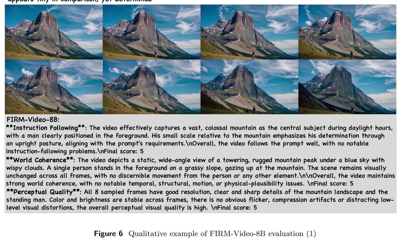 Qualitative example of FIRM-Video-8B evaluation (1)
