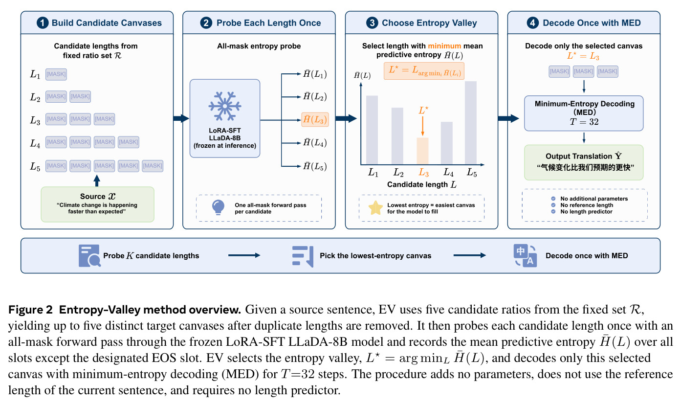 Entropy-Valley method overview. Given a source sentence, EV uses five candidate ratios from the fixed set R, probes each candidate length once with an all-mask forward pass, selects the entropy valley and decodes it with MED.