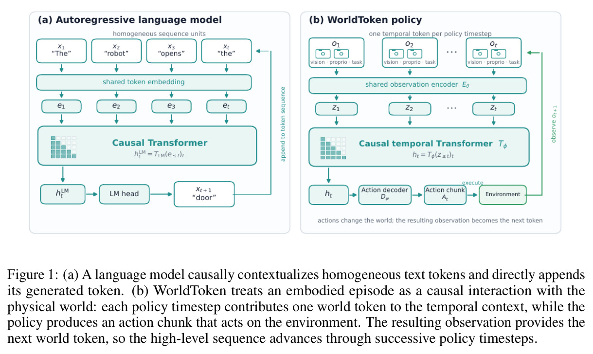 A language model causally contextualizes homogeneous text tokens and directly appends its generated token; WorldToken treats an embodied episode as a causal interaction with the physical world.