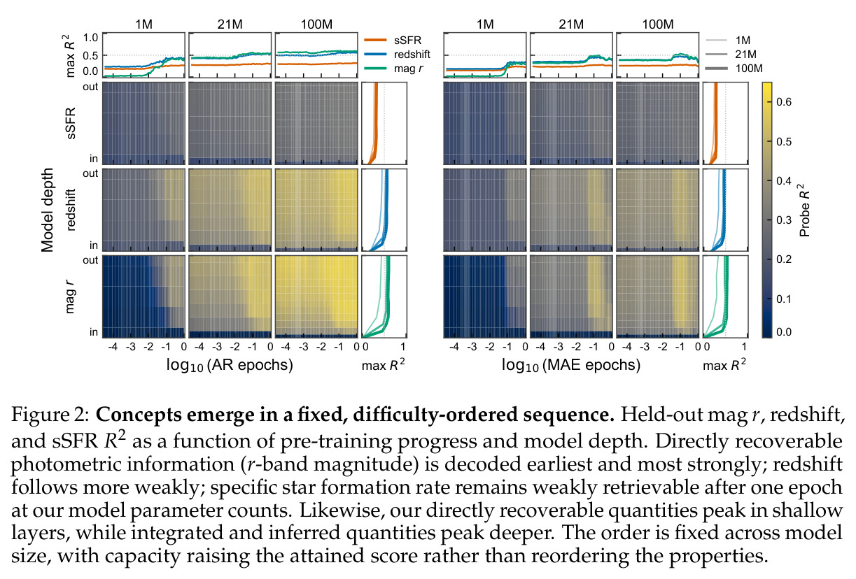 Concepts emerge in a fixed, difficulty-ordered sequence.