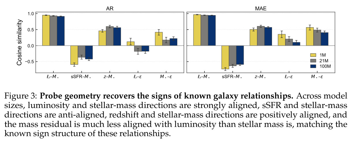 Probe geometry recovers the signs of known galaxy relationships.
