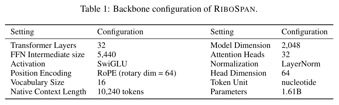 Backbone configuration of RIBOSPAN.