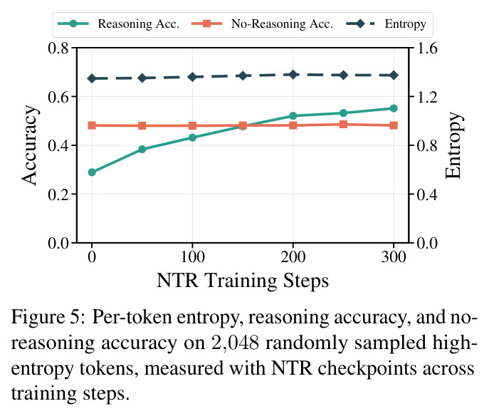 Per-token entropy, reasoning accuracy, and no-reasoning accuracy on 2,048 randomly sampled high-entropy tokens, measured with NTR checkpoints across training steps.