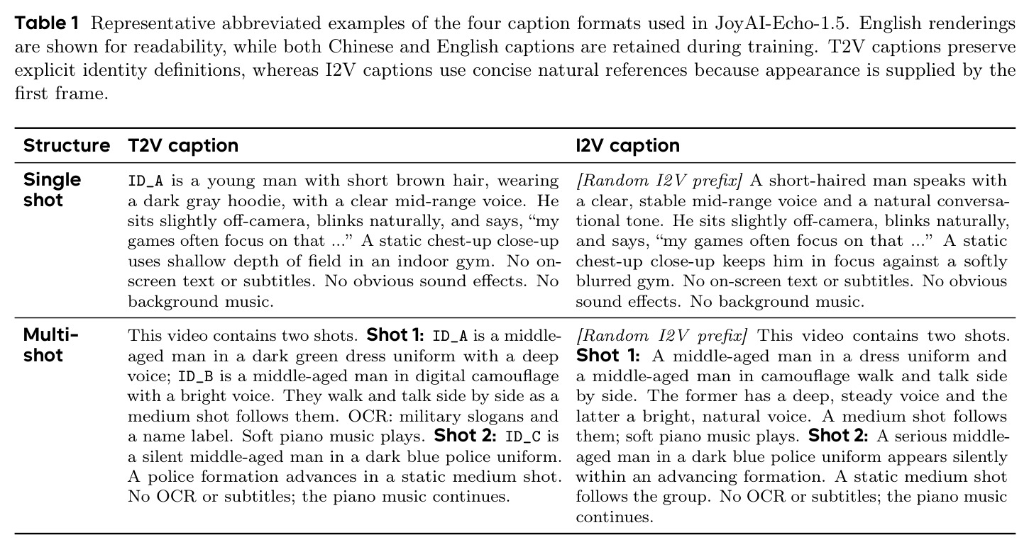 Representative abbreviated examples of the four caption formats used in JoyAI-Echo-1.5