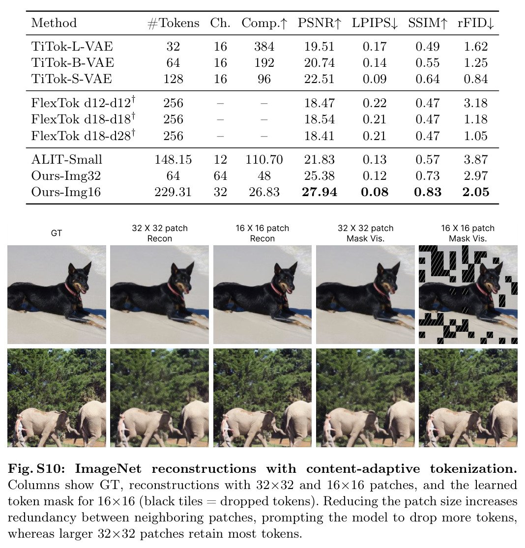 Emergent controllability in video generation (UCF101). Increasing the number of tokens at generation time modulates motion and visual detail without retraining or extra conditioning.