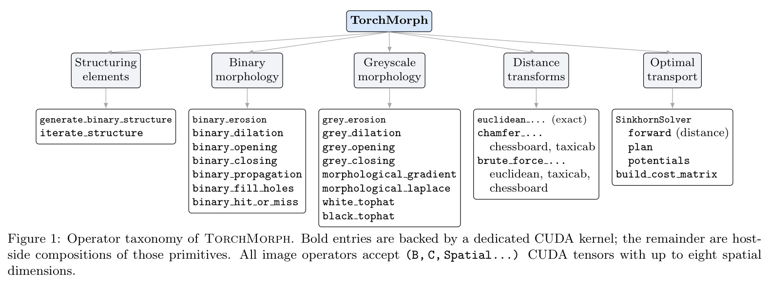 Operator taxonomy of TorchMorph