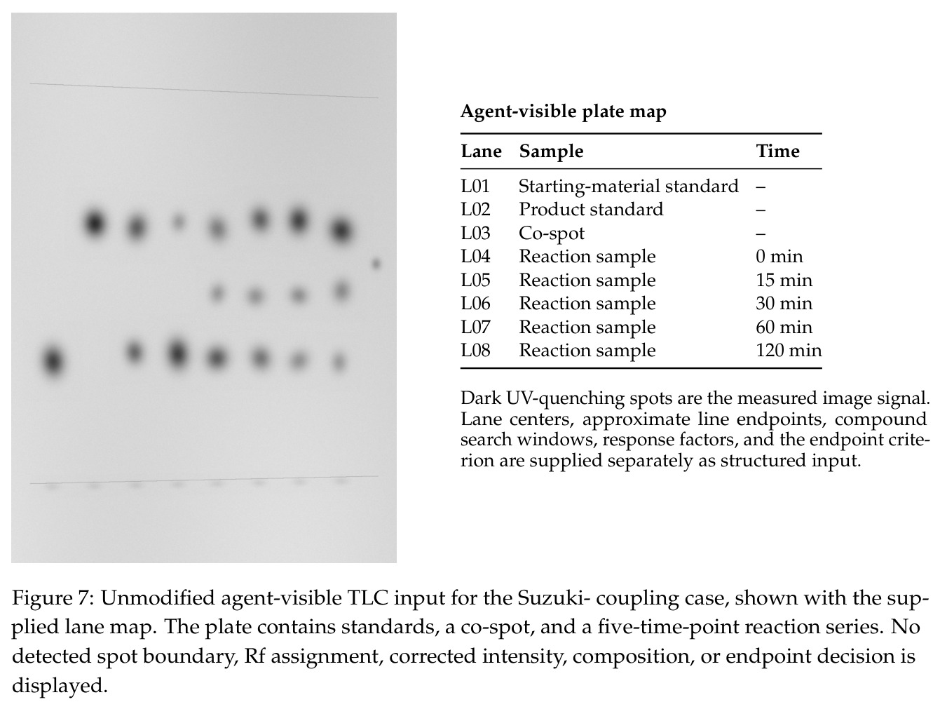 Unmodified agent-visible TLC input for the Suzuki-coupling case, shown with the supplied lane map.