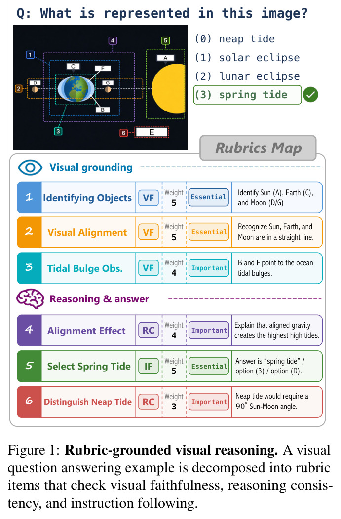 Rubric-grounded visual reasoning