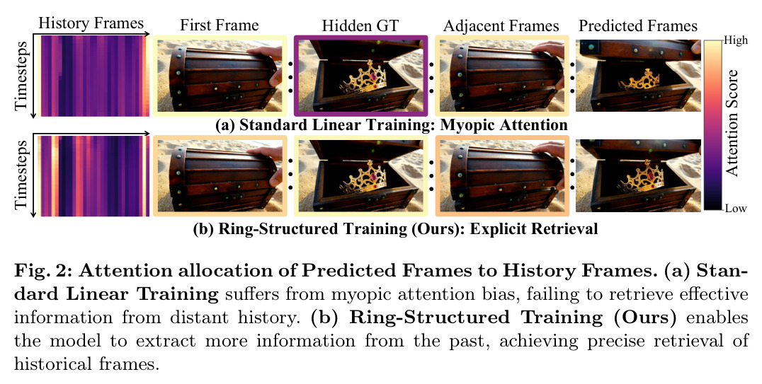 Attention allocation of Predicted Frames to History Frames: (a) Standard Linear Training suffers from myopic attention bias; (b) Ring-Structured Training enables precise retrieval of historical frames.