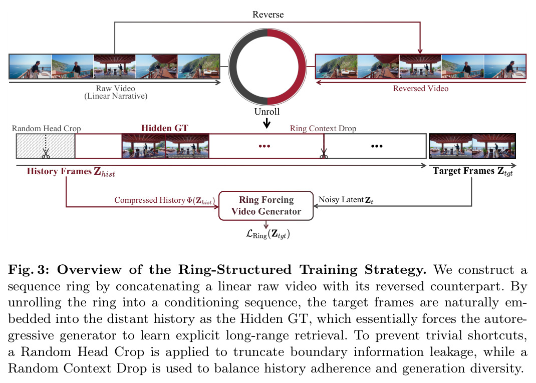 Overview of the Ring-Structured Training Strategy.