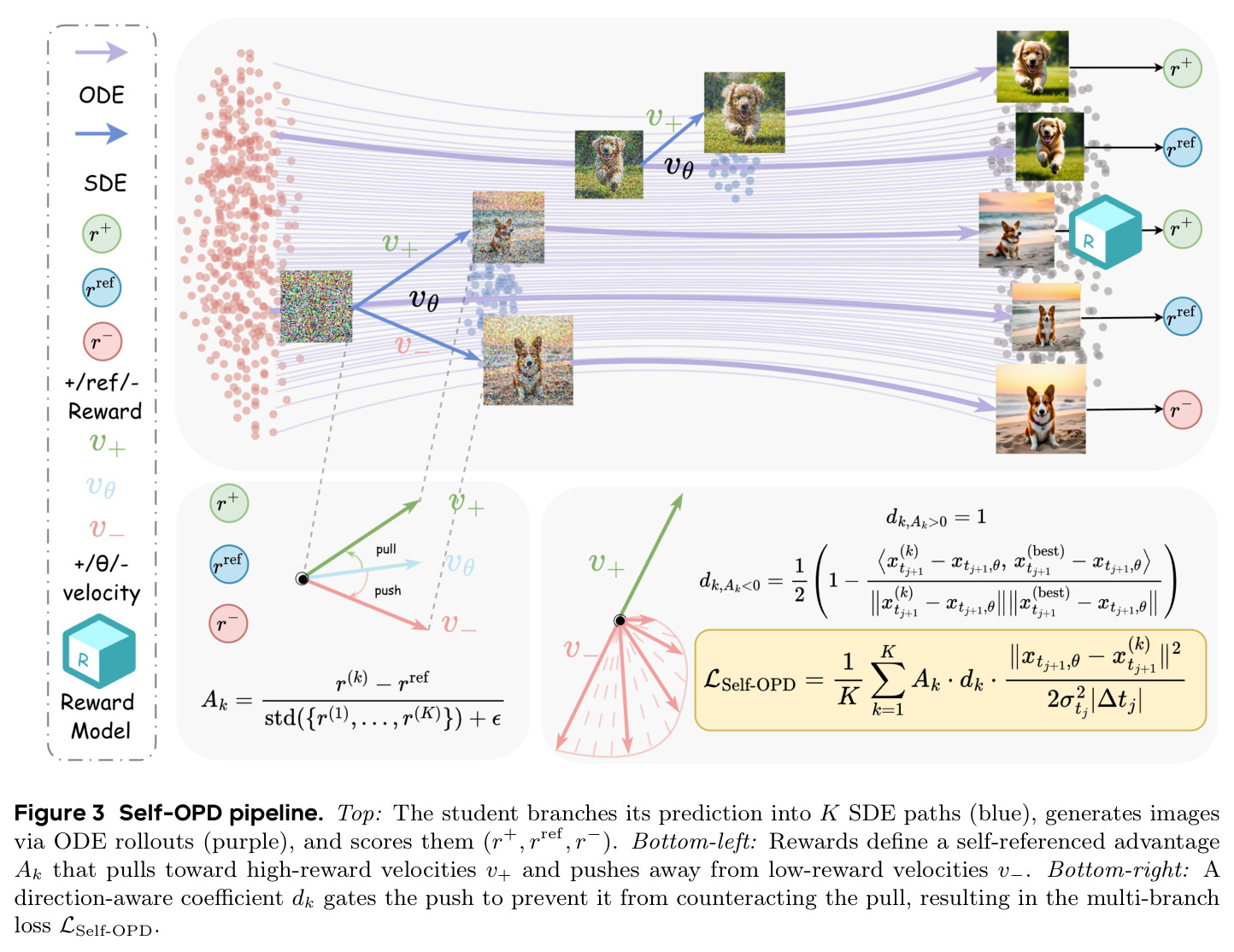 Self-OPD pipeline. Top: The student branches its prediction into K SDE paths (blue), generates images via ODE rollouts (purple), and scores them (r+, rref, r−). Bottom-left: Rewards define a self-referenced advantage Ak that pulls toward high-reward velocities v+ and pushes away from low-reward velocities v−. Bottom-right: A direction-aware coefficient dk gates the push to prevent it from counteracting the pull, resulting in the multi-branch loss LSelf-OPD.