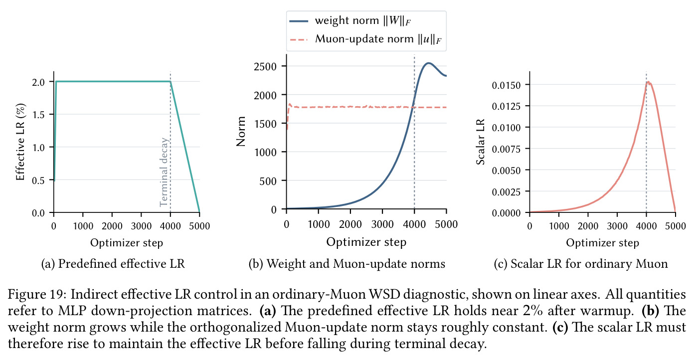 figure_19.jpg