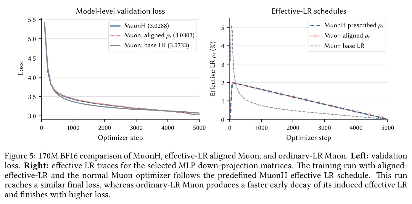 170M BF16 comparison of MuonH, effective-LR aligned Muon, and ordinary-LR Muon.