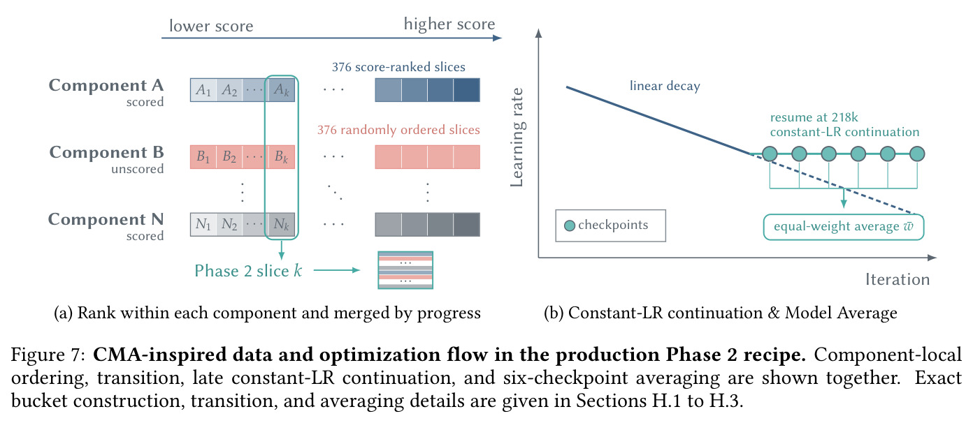 CMA-inspired data and optimization flow in the production Phase 2 recipe.