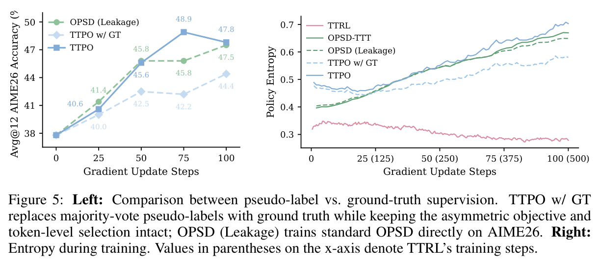 Left: Comparison between pseudo-label vs. ground-truth supervision. TTPO w/ GT replaces majority-vote pseudo-labels with ground truth while keeping the asymmetric objective and token-level selection intact; OPSD (Leakage) trains standard OPSD directly on AIME26. Right: Entropy during training.