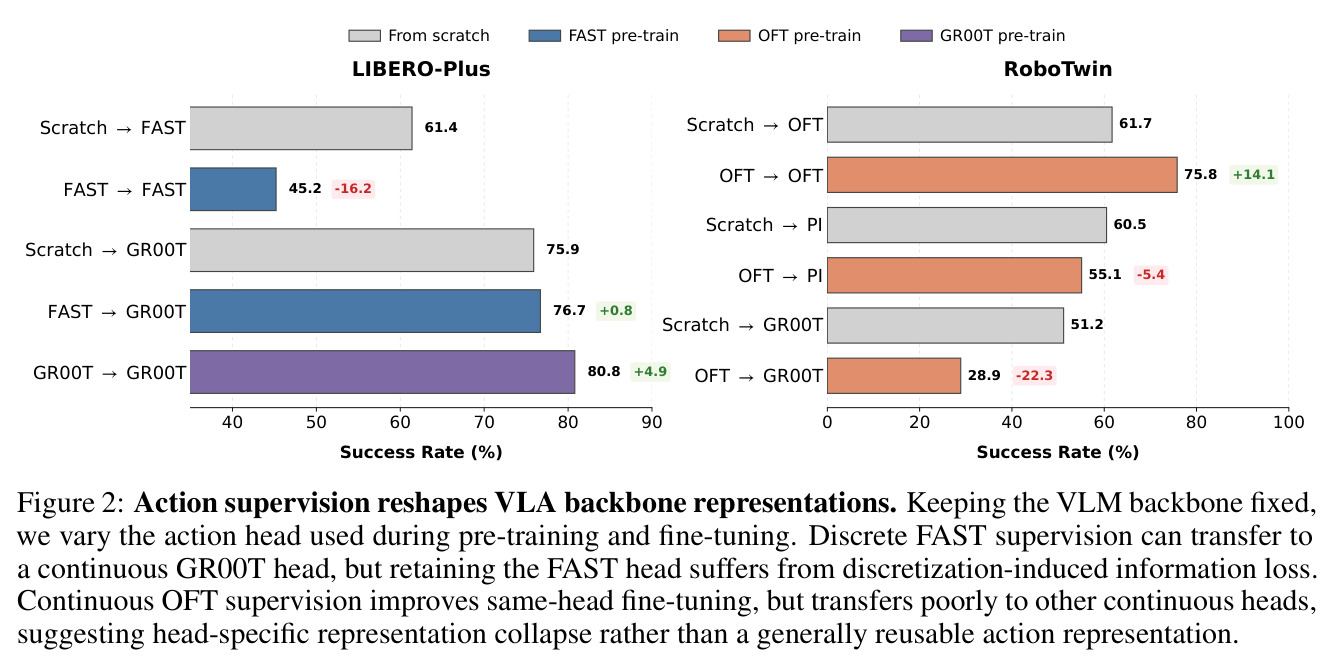 Action supervision reshapes VLA backbone representations