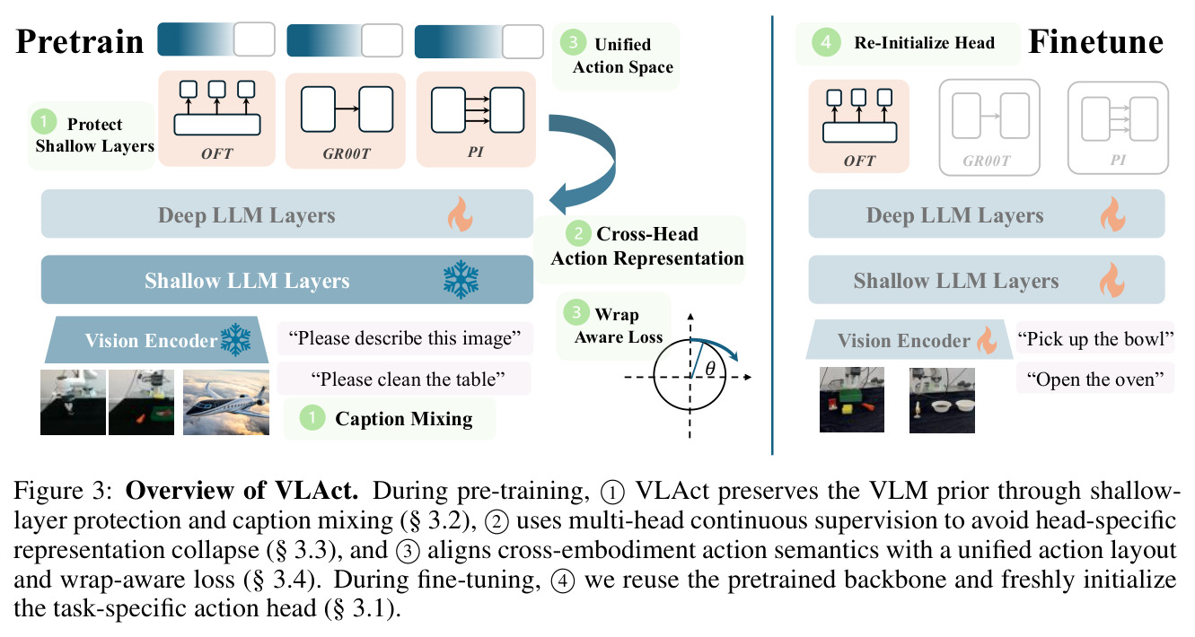 Overview of VLAct（预训练与微调流程细节）