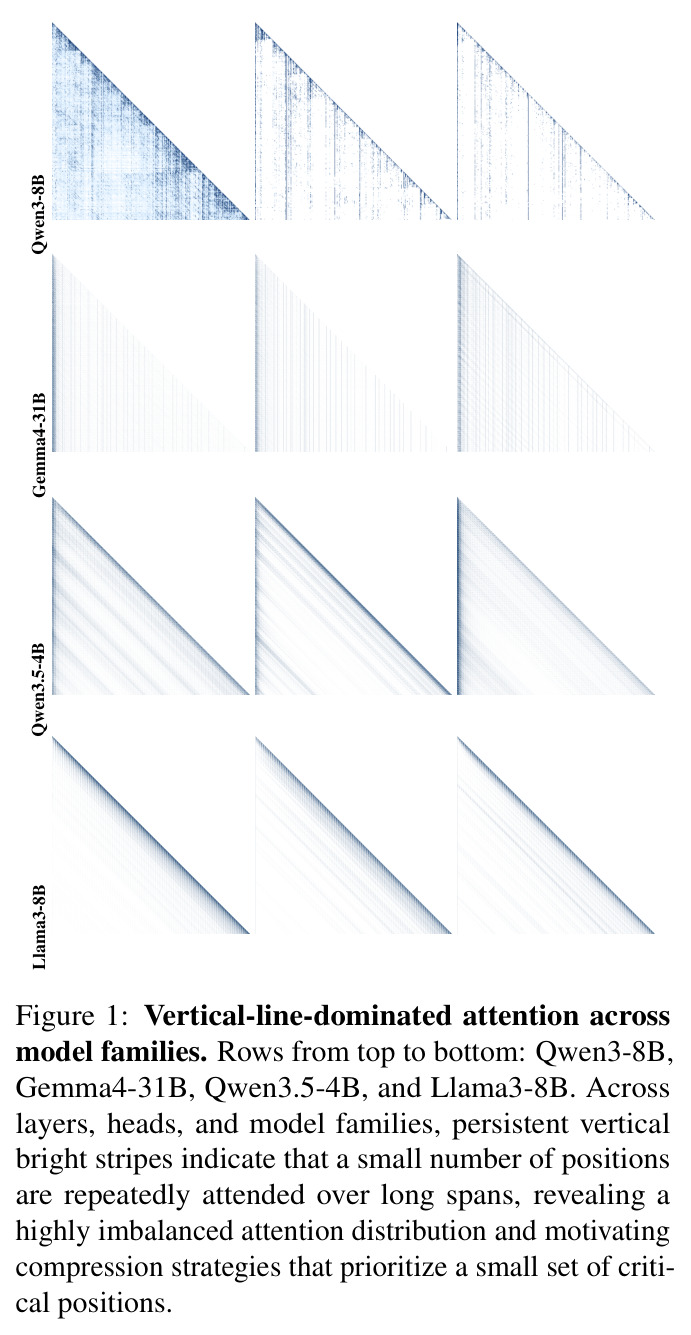 Vertical-line-dominated attention across model families